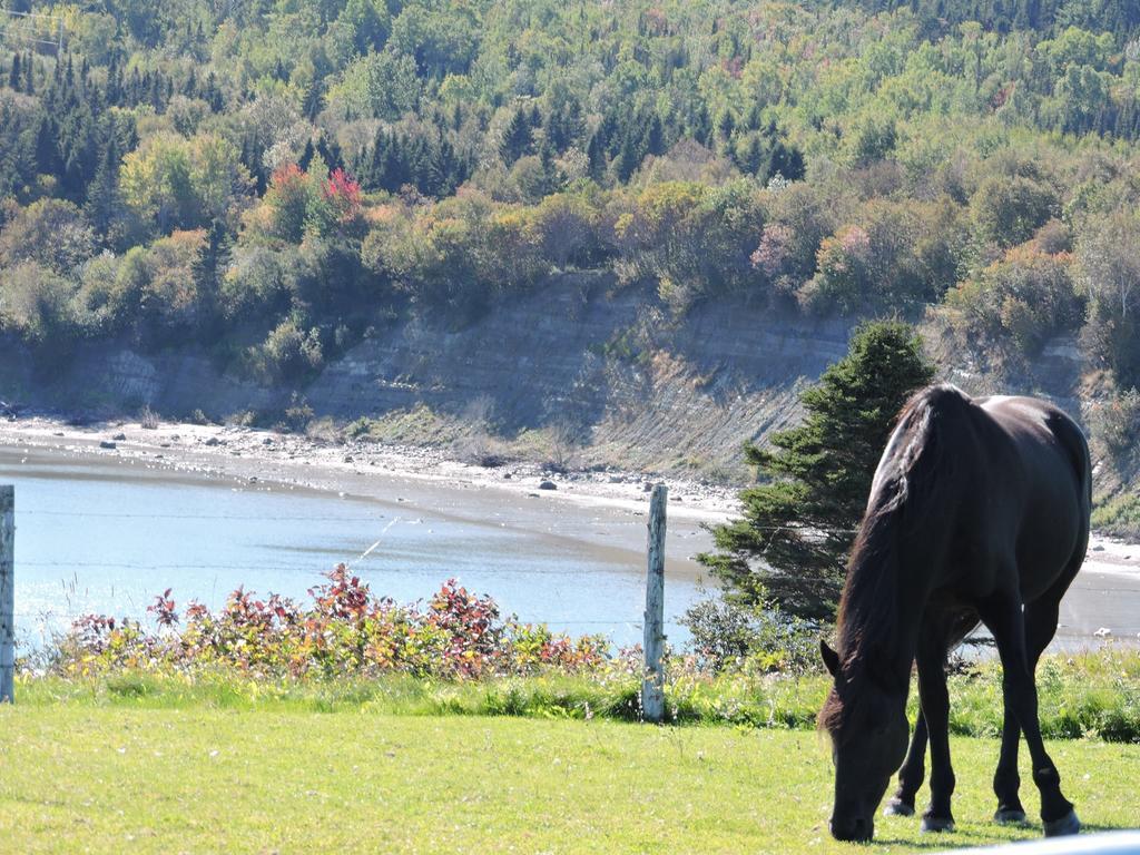 Motel De La Pointe Aux Bouleaux Baie-Sainte-Catherine Ngoại thất bức ảnh